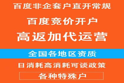 怎样做百度推广：成功案例分析与策略